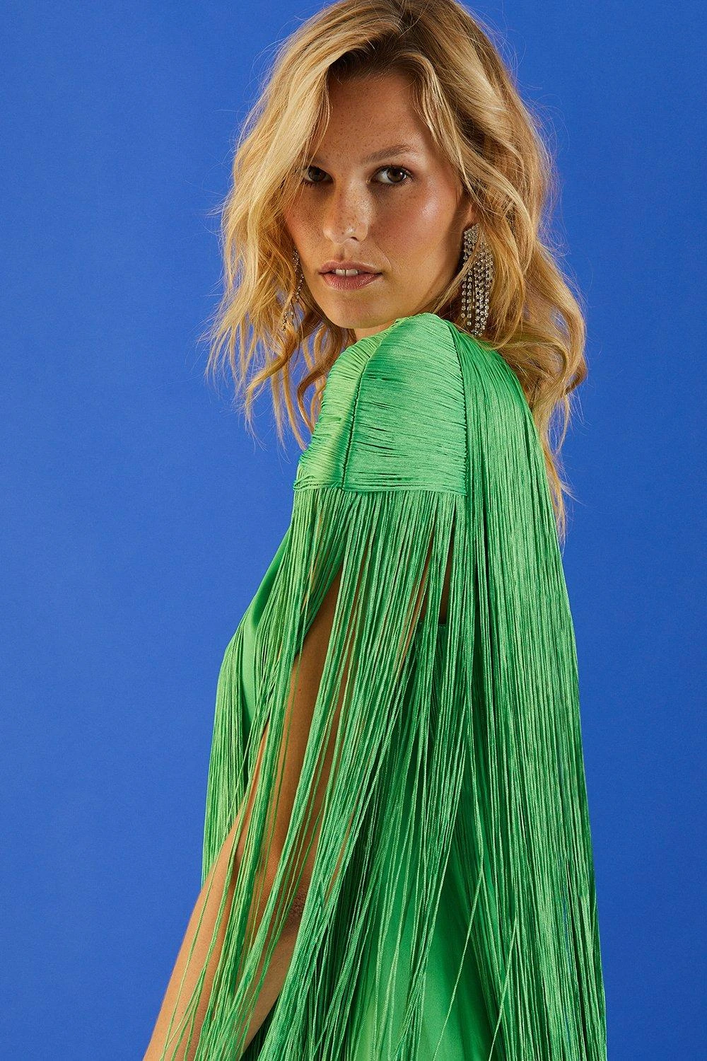 Coast Premium Statement Fringe Detail Mini Dress - Image 2