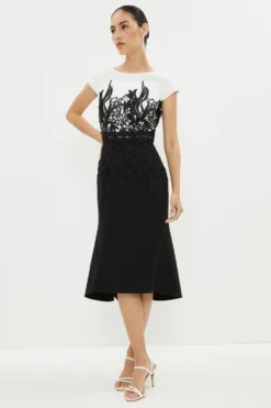 Coast Lace Dress With Crepe