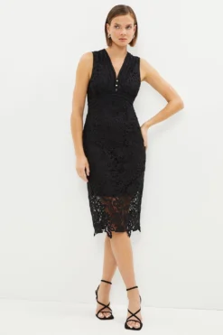 Coast Sleeveless V Neck Lace Pencil Dress