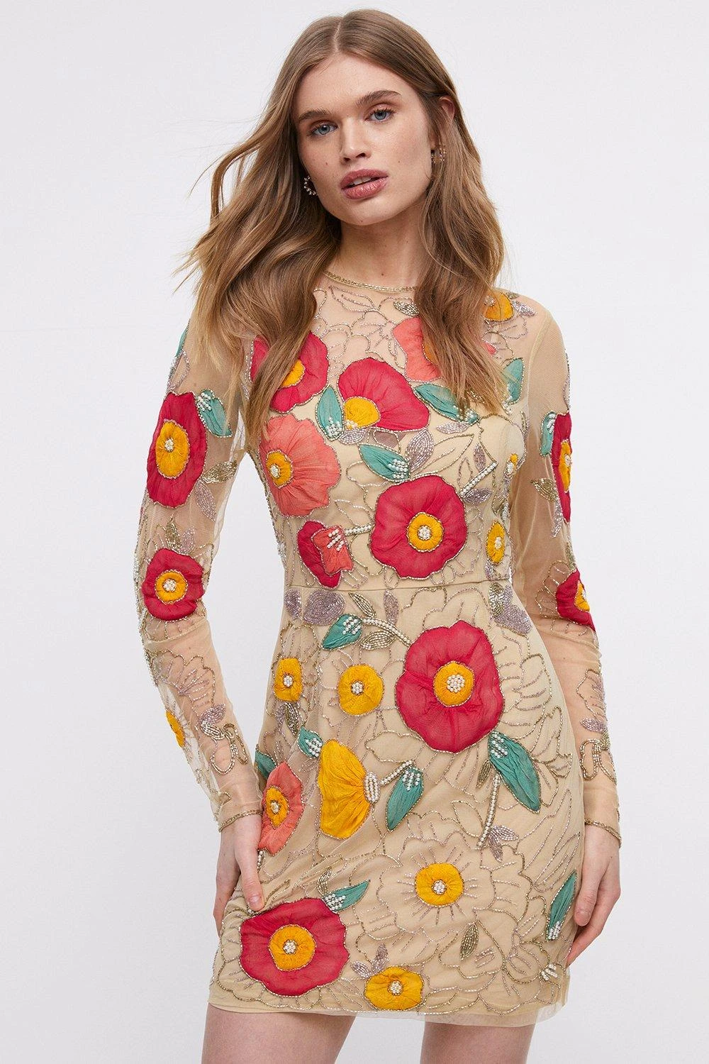 Coast Premium Hand Embellished Chiffon Floral Mini Dress