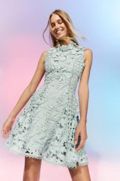 Coast The Collector Applique Lace Mini Dress